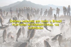 camara derruma portaria interministerial 192