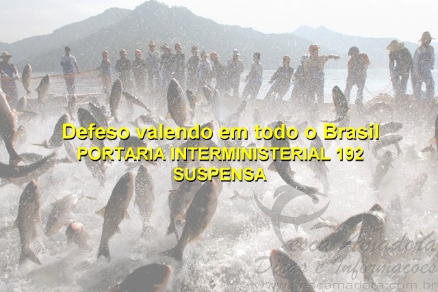Senado aprova derrubada da suspensão do pagamento do seguro-defeso