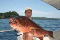 caranha