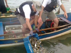comando ambiental combate pesca predatoria no rio tramandai no RS 3
