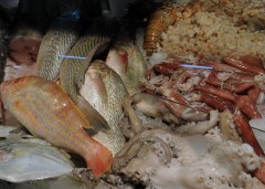 consumo de pescado cresce no brasil