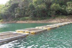 criacao de peixes em tanques rede