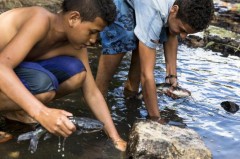 criancas pescam em agua impropria em Porto Alegre