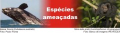 especies ameacadas 01