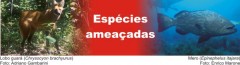 especies ameacadas 02
