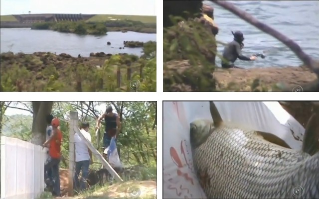 Flagrante do Tem Notícias mostra pesca predatória no rio Grande entre MG e SP