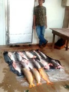 Flagrante ocorreu após denúncia anônima (Foto: Hugo Santana/Juvam)