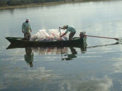 Iniciativa acaba com a exigência legal do produtor renovar anualmente o cadastro prévio de aquicultor (Foto: Ascom/SFPA/RR)