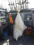 halibut fisgado no Alasca