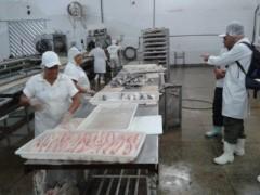 ibama realiza fiscalizacao de pescado ilegal