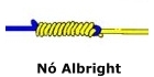 Nó Albright