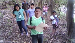 indigenas fazem contagem do pirarucu no alto solimões