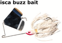 isca-buzzbait