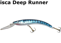 isca-deeprunner