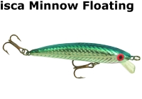 isca-minnow-floating