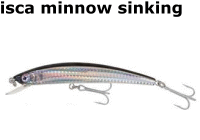 isca-minnow-sinking