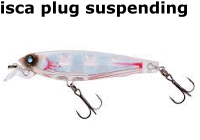 isca-plug-suspending