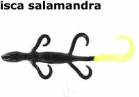 isca-salamandra