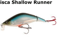 isca-shallowrunner