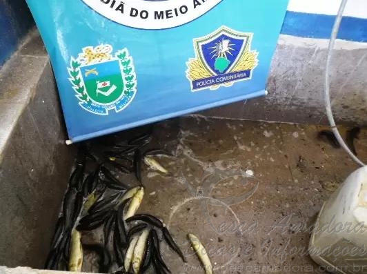 Homem é preso depois de pescar mais de 70 íscas vivas no MS