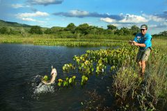 licenca de pesca embarcada - pesca de barranco