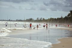 licenca de pesca - pesca de praia