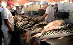 linha de credito amazonas