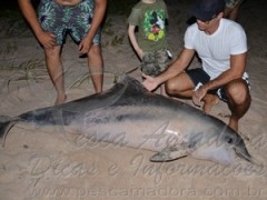 lixo prejudica animais no litoral da PB 2