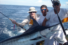 marlin-azul