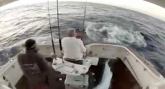 marlin salta para dentro do barco (imagem youtube)