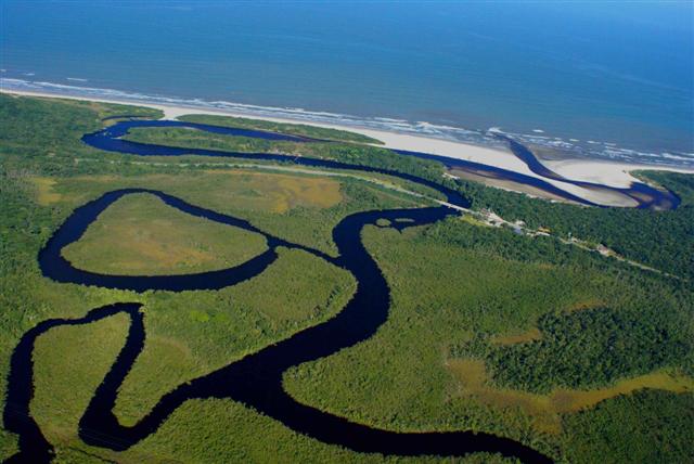 Sobrevivência de ecossistemas de Bertioga exige atenção