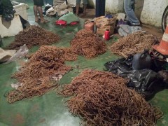 material de pesca apreendido no mt