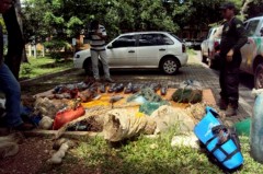 material de pesca predatoria apreendido no ms sera insinerado (foto divulgação)