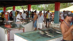 mercado de peixes na bahia