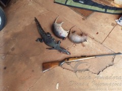 operacao carnaval no MS 03