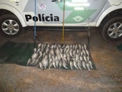 operacao carnaval no norte de SP