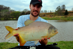 pacu