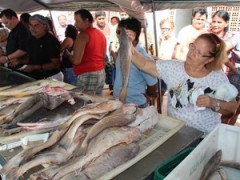 Estado produziu mais de 700 toneladas de pescado. (Foto: Divulgação/ Ascom Sepaq)