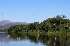 parque-pantanal-mt