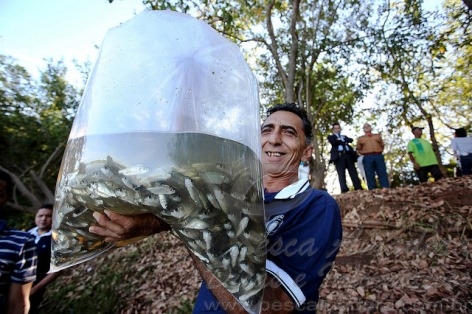 Peixamento no “Velho Chico” marca festa de Bom Jesus dos Navegantes em Penedo-AL