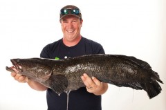 peixe-cabeca-cobra-recorde