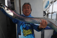 peixe-espada