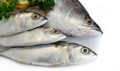 Peixe na merenda escolar