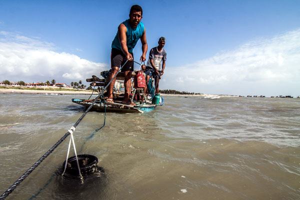 Pesca artesanal do polvo é alternativa no Nordeste
