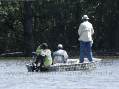 Pesca Amadora na Amazônia é bastante explorada por turista do mundo todo