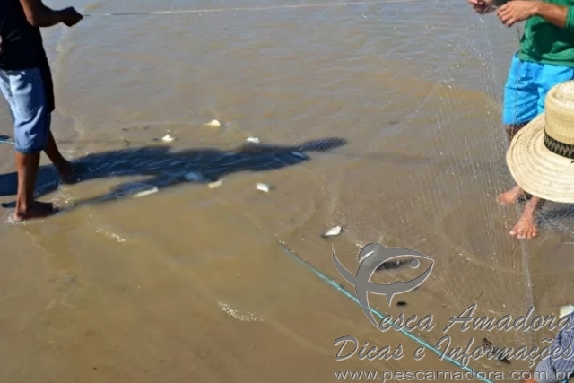 Prática ilegal gera desperdício de peixe durante piracema no interior do AC