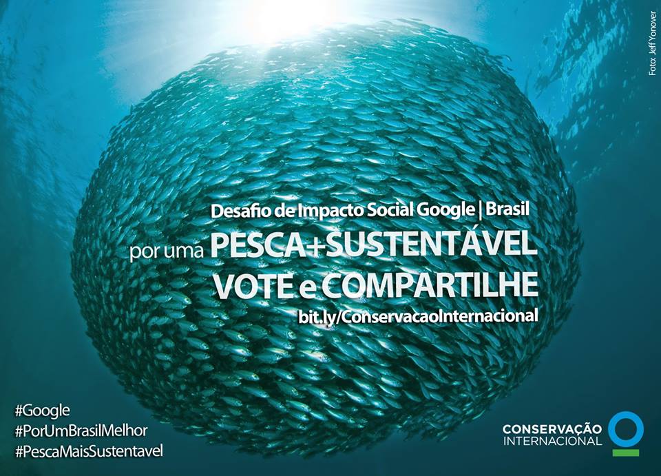 Conservação Internacional promove “compartilhaço” nas redes sociais em prol da pesca sustentável