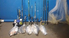 pescado apreendido em Londrina-PR 2