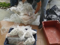 pescado apreendido em peixaria no RS