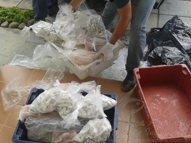 Seapa e comando ambiental apreendem 400kg de peixe sem procedência no RS